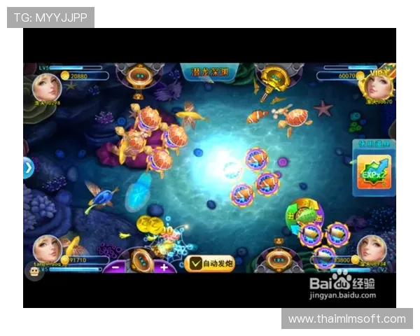 掌握ag捕鱼稳赚方法的实用技巧与操作指南